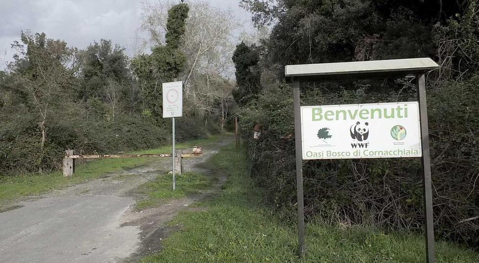 l’ingresso all’oasi, limitrofa all’area dove si è svolto il rave