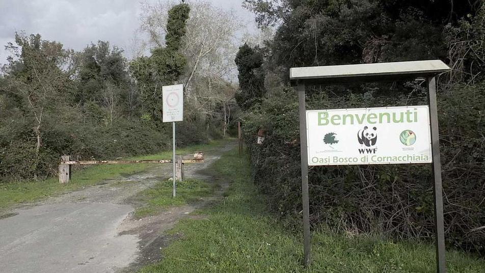 l’ingresso all’oasi, limitrofa all’area dove si è svolto il rave