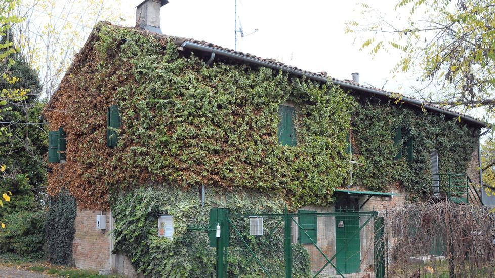 Gattile, in arrivo fondi per oltre un milione 