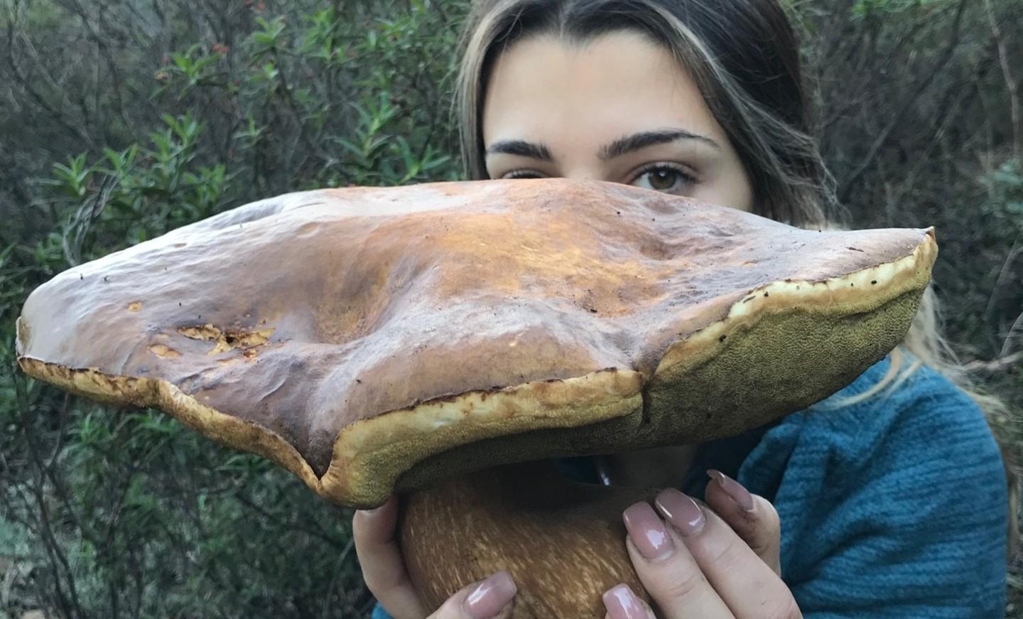 In Gallura ecco la “regina” dei funghi porcini 