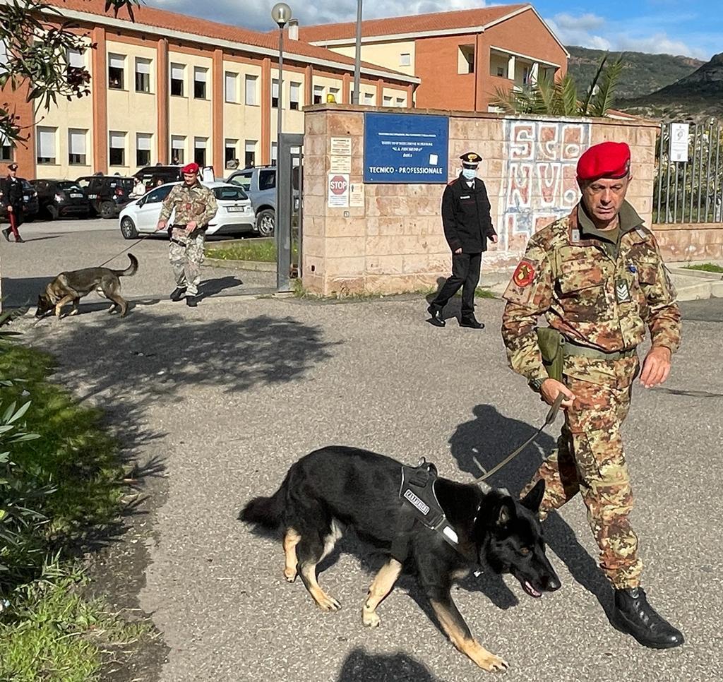 Bosa, carabinieri coi cani trovano droga nel muretto esterno di una scuola 