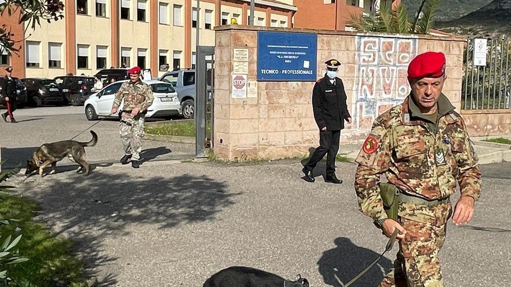 Bosa, carabinieri coi cani trovano droga nel muretto esterno di una scuola 