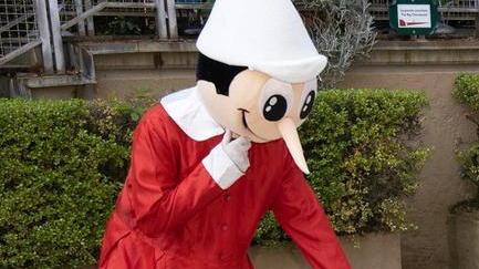 Variante di Collodi, ecco le due ipotesi che sono all’esame della Provincia