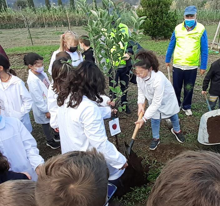 Sei alberi da frutto dei Lions nella scuola di Casa del Duca