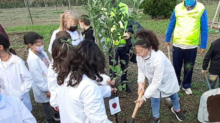 Sei alberi da frutto dei Lions nella scuola di Casa del Duca