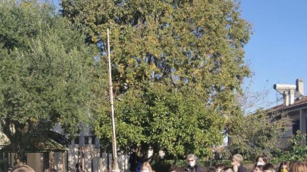 Nuovi alberi alle scuole di Bientina e Quattro Strade
