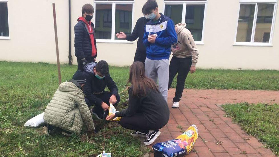 Nuovi alberi e pulizia: gli alunni al lavoro nel cortile della scuola
