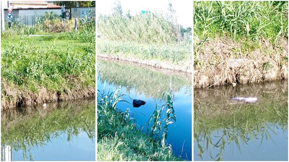 Nelle tre immagini alcuni sacchetti della spazzatura gettati all’interno della gora di Stiava