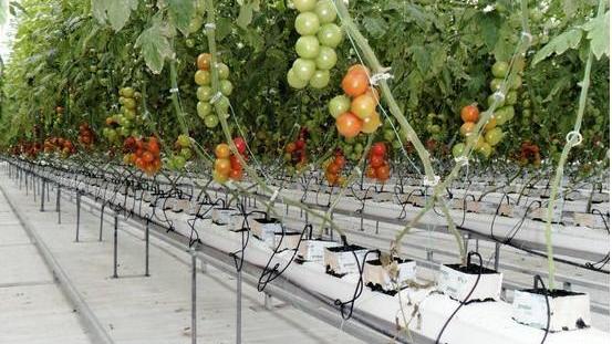 Consumi alimentari, la sfida del cambiamento passa dai supermercati