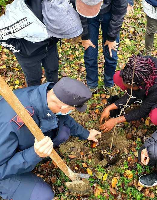 La Giornata dell’albero Carabinieri Forestali nelle scuole ferraresi 