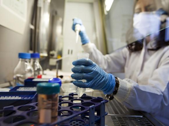 Covid, scoperta una nuova tecnica per fermare virus e varianti 