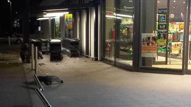 Auto fuori controllo abbatte pali e segnali: tragedia sfiorata a Ferrara