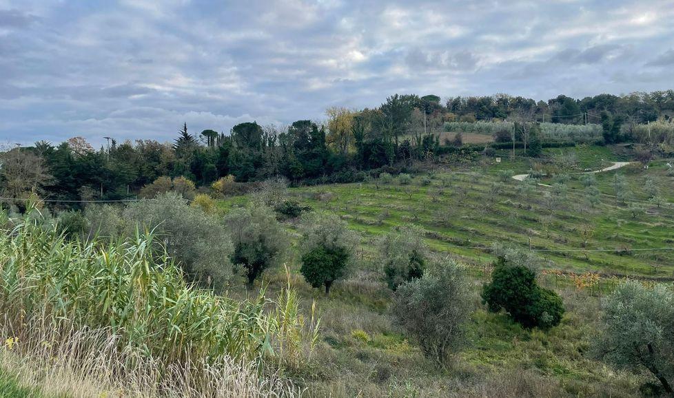 L’area adiacente al campo sportivo di Montescudaio, scelta per il nuovo depuratore