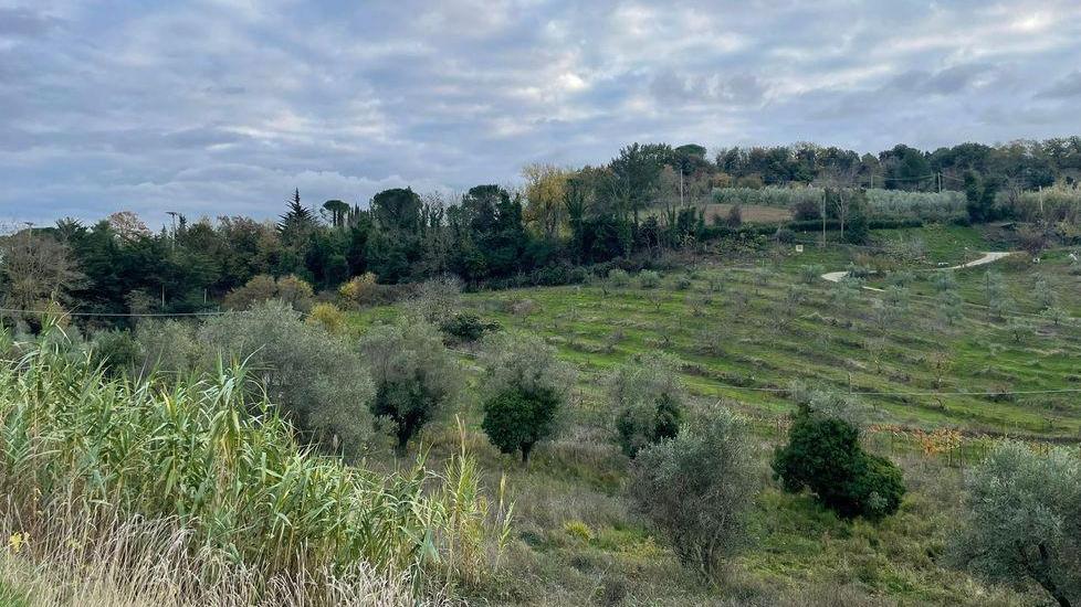 L’area adiacente al campo sportivo di Montescudaio, scelta per il nuovo depuratore