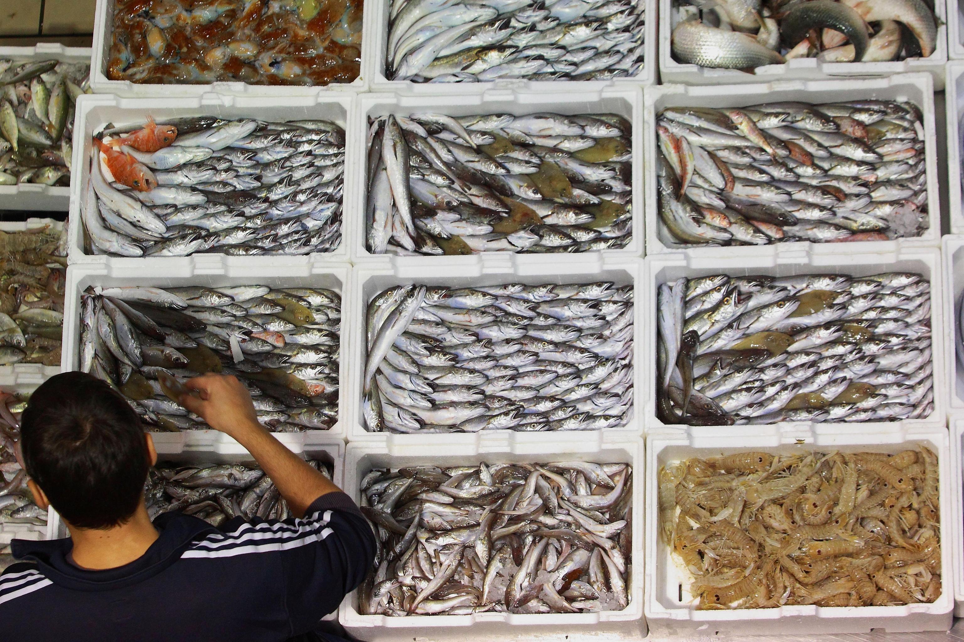 Col sistema tecnologico ideato in Maremma i clienti potranno vedere da dove arriva il pesce che hanno nel piatto