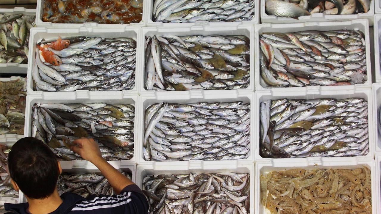 Col sistema tecnologico ideato in Maremma i clienti potranno vedere da dove arriva il pesce che hanno nel piatto