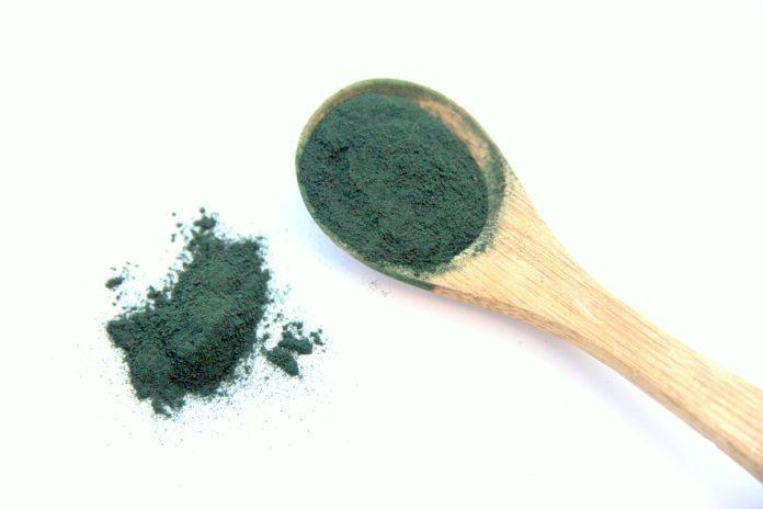 Alga spirulina, un'opportunità per giovani imprenditori