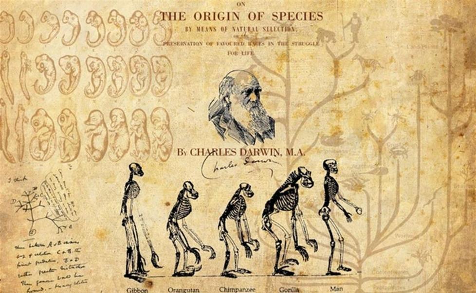 Quella teoria che scandalizzò il mondo Darwin dai viaggi sul Beagle all’evoluzione 