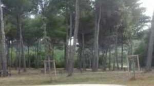 Parco termale, il Gruppo 2019 «Esposto al degrado e isolato»
