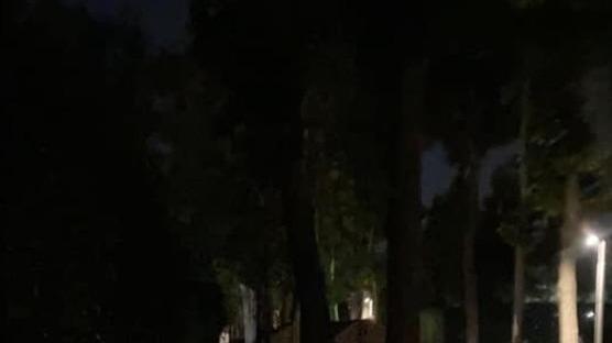 Illuminazione scarsa: via Verdi è pericolosa