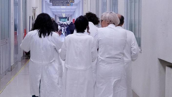 Lavoro autonomo e co.co.co, nuove assunzioni e proroghe di incarichi