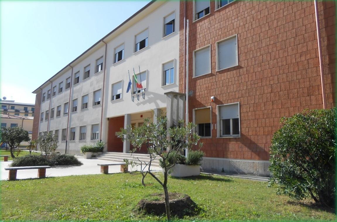 Liceo Scientifico “Barsanti e Matteucci” Viareggio