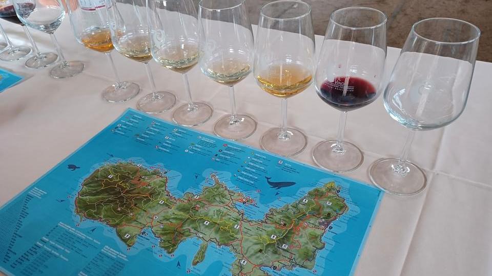 La selezione di vini della cantina Arrighi proposta agli ospiti della Fornace Artenova