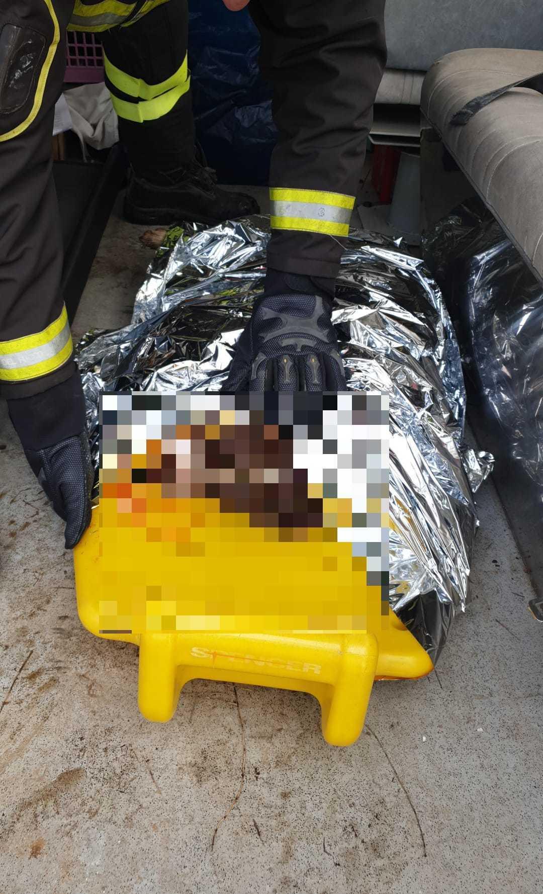 Il cane dopo il soccorso