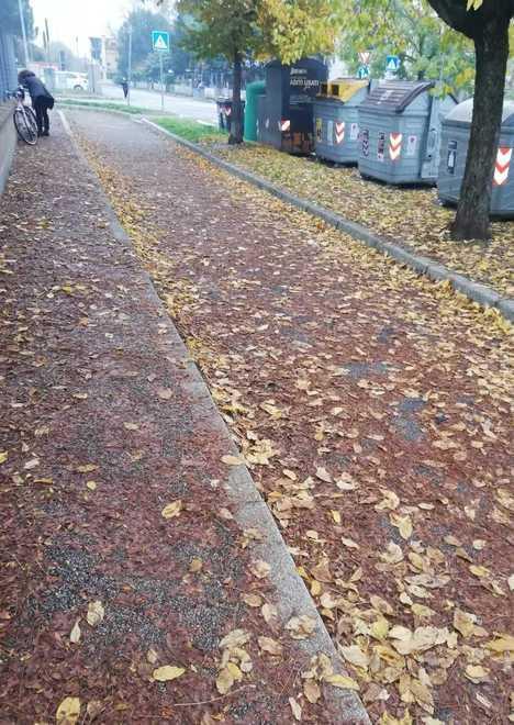 «Qualcuno pulisca marciapiede e strada»