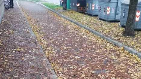 «Qualcuno pulisca marciapiede e strada»