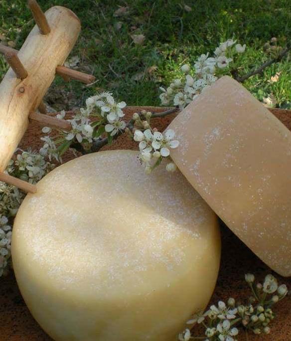 Buoni acquisto per “pane e formaggio”