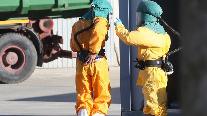 Abbattuti oltre 37mila tacchini, paura per l’influenza aviaria