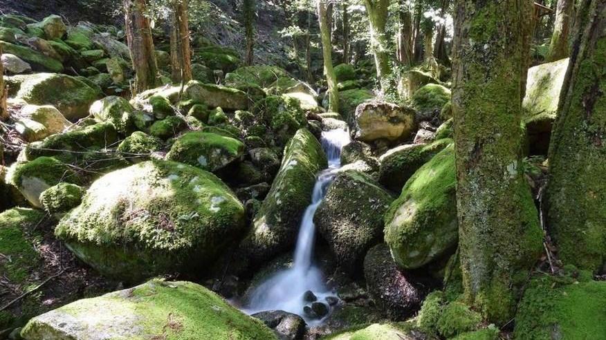 Acqua di sorgente all'Elbar (foto da Infoelba.it)
