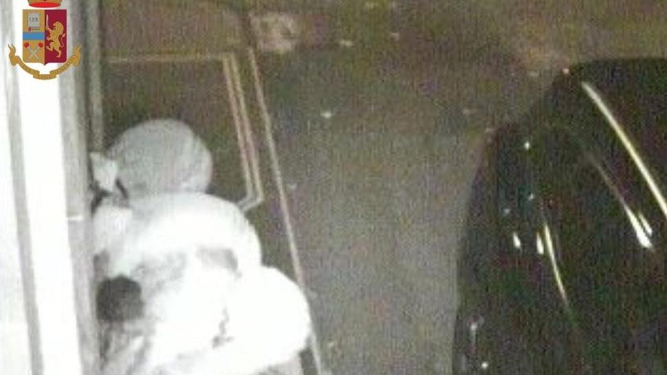Colpo in un bar ad Aulla e in farmacie spezzine, sgominata baby gang