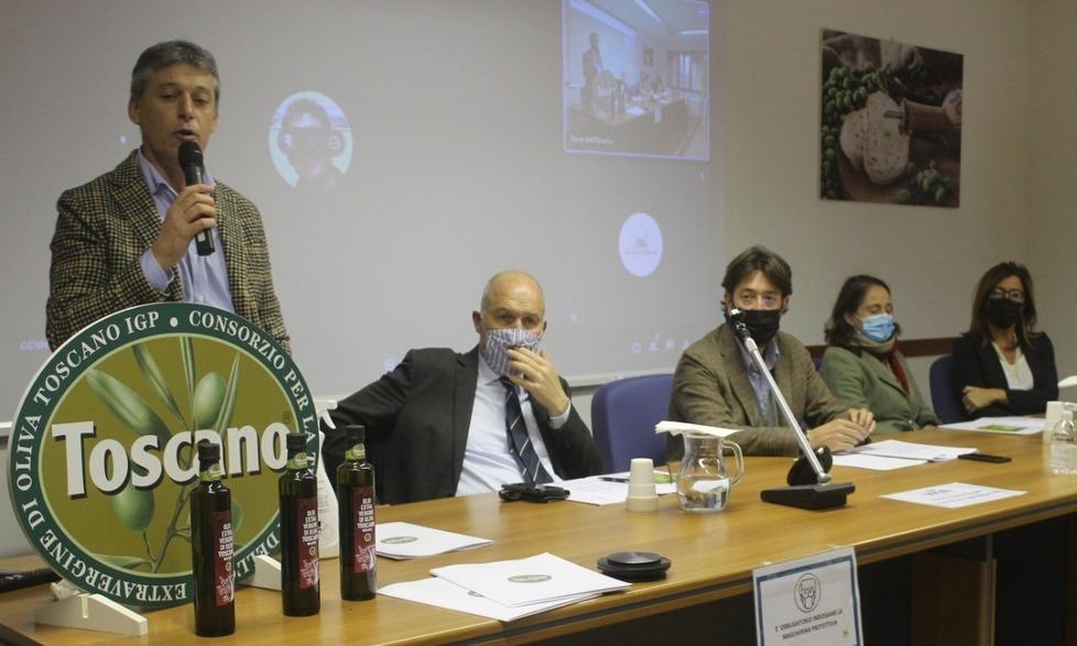 Olio extravergine sulle orme del vino Doc Ecco l’indicazione “Toscano Igp Bolgheri” 