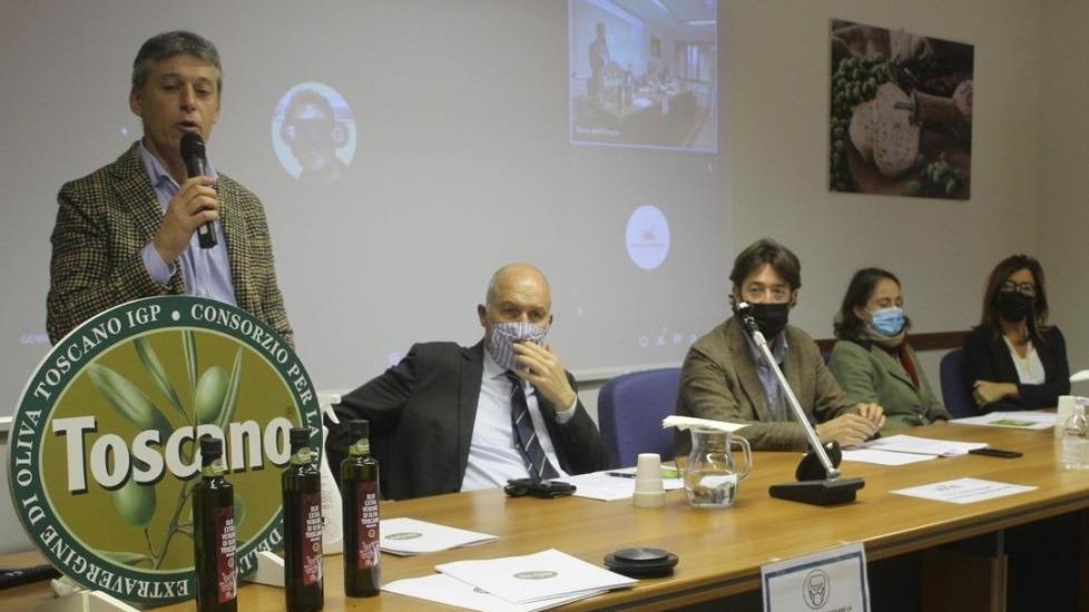 Olio extravergine sulle orme del vino Doc Ecco l’indicazione “Toscano Igp Bolgheri”