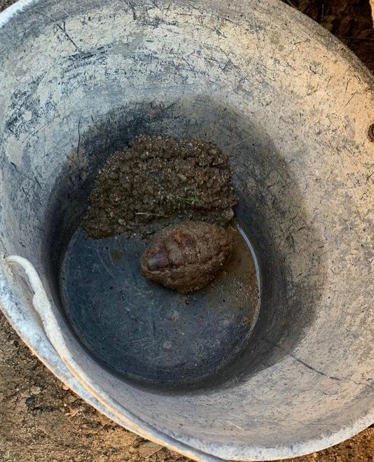 Trovata una bomba a mano nell’area di un cantiere edile 