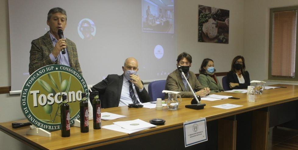 L’olio sulle orme del vino Doc Nasce “Toscano Igp Bolgheri” 