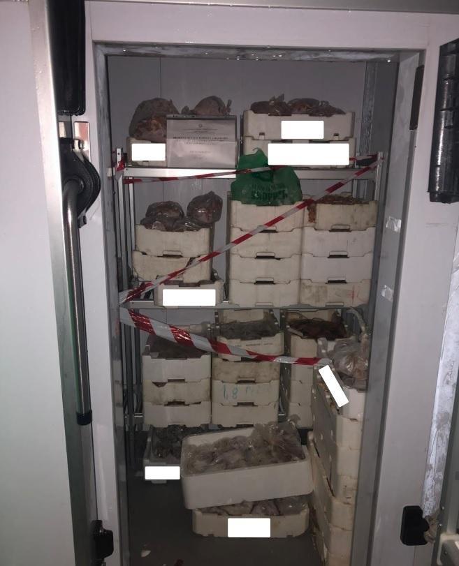 Pesce privo di tracciabilità maxi sequestro in Riviera 