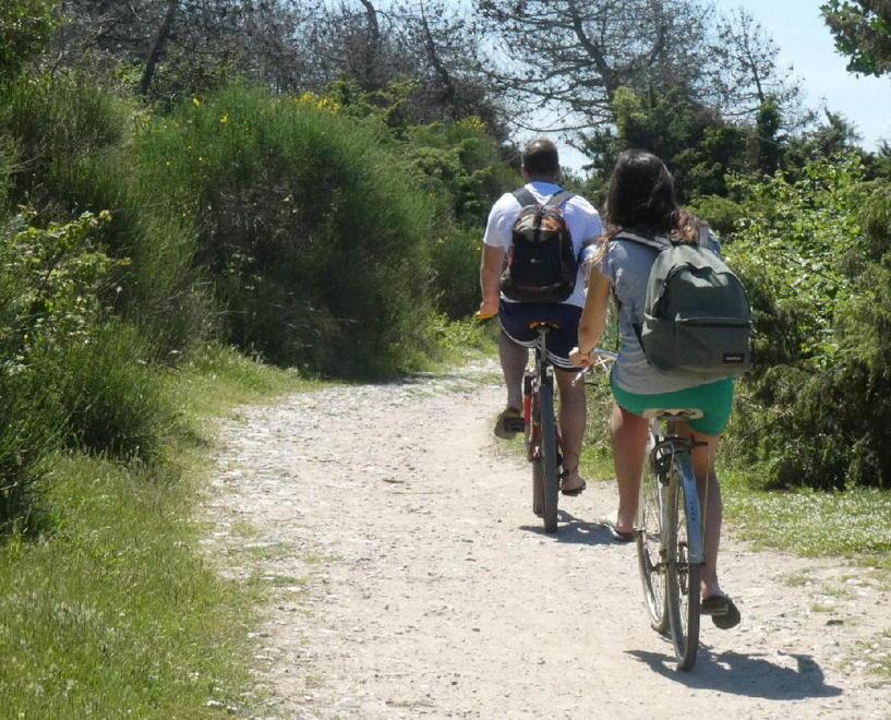 Ciclisti su una pista dedicata