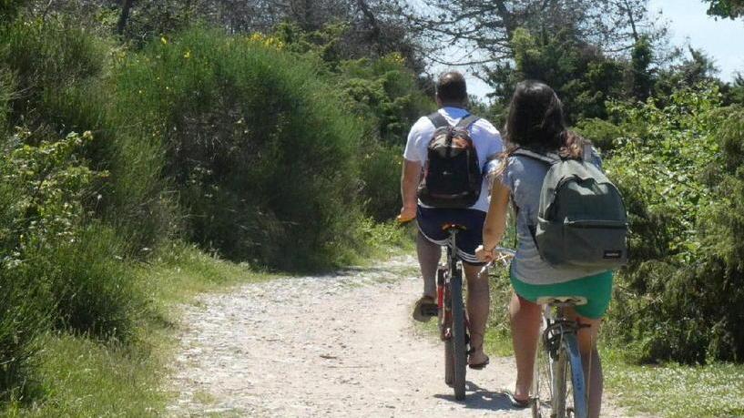 Ciclisti su una pista dedicata