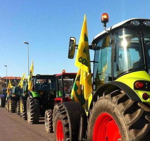 Giornata del ringraziamento 300 trattori sfilano in centro 