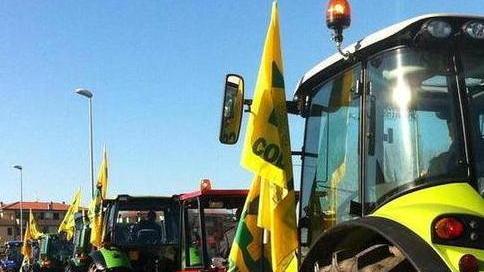 Giornata del ringraziamento 300 trattori sfilano in centro