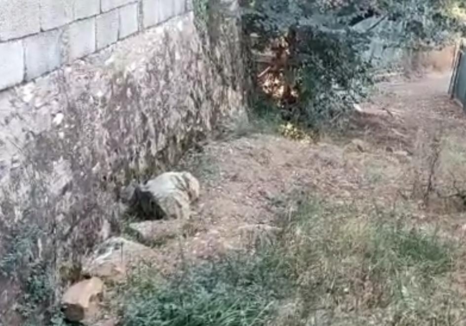 Strada del Nocino il cancello è abusivo C’è l’ordinanza per liberare il passo 