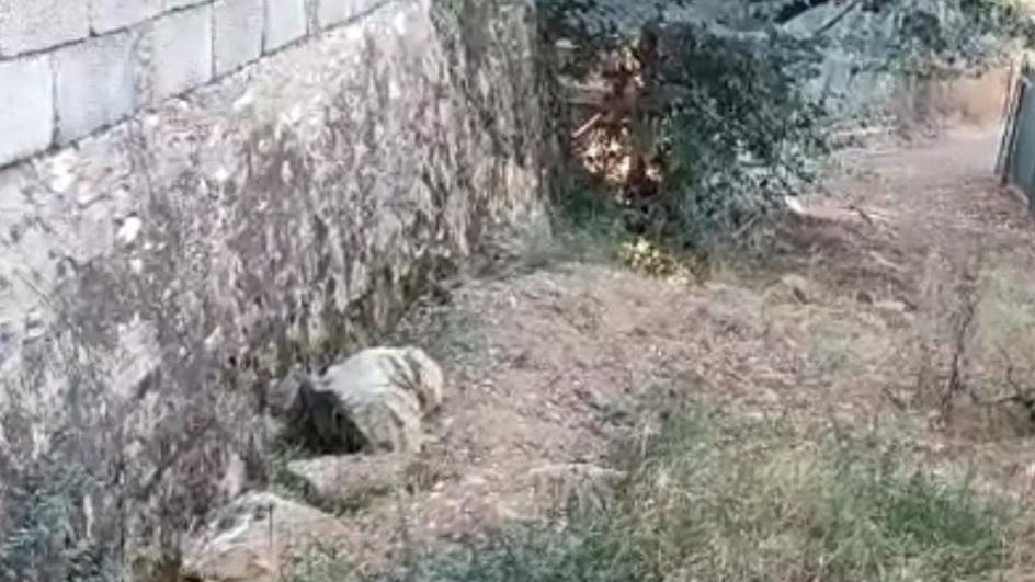 Strada del Nocino il cancello è abusivo C’è l’ordinanza per liberare il passo