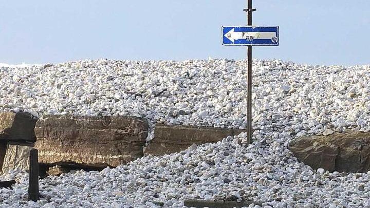 Il libeccio fa ancora danni nuova pioggia di sassi Litoranea chiusa a Marina