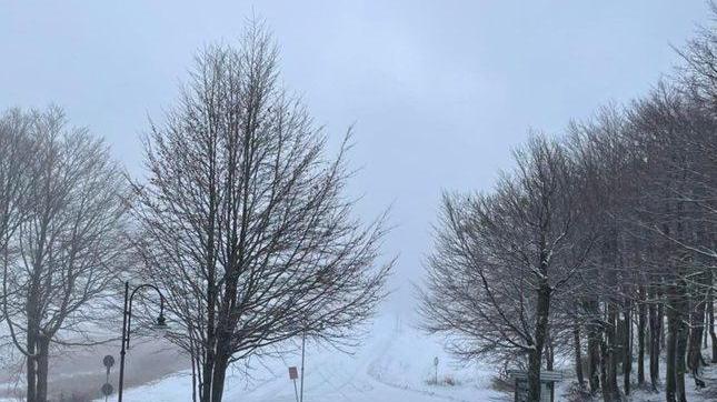 Neve in vetta Imbiancati Pradarena e Segheria