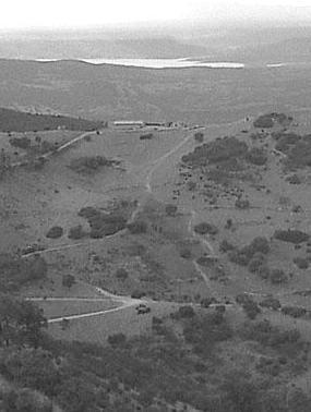 Stop all’irrigazione per una settimana 