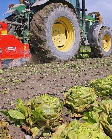 Gal, pioggia di soldi sull’agroalimentare 