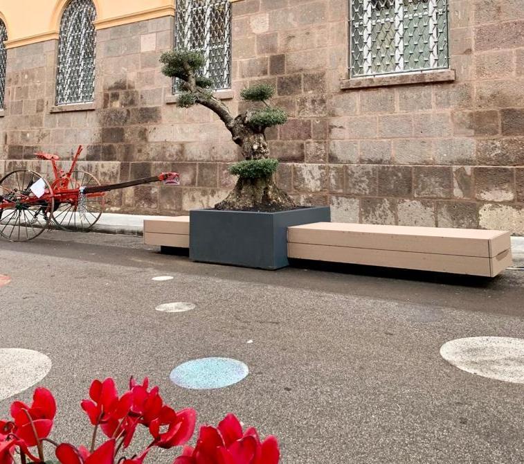 Musica e cultura, il Centro Cavour si prepara al Natale 